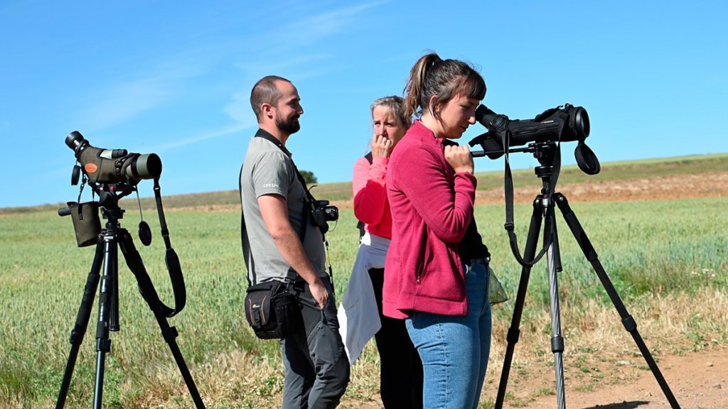 Desde MAGSOR apoyamos las jornadas “Retos y oportunidades para dinamizar la Comarca” en Borobia y Ciria (Soria)